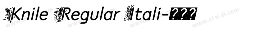 Knile Regular Itali字体转换